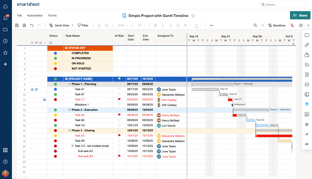 Smartsheet - Best for Real-Time Project Collaboration